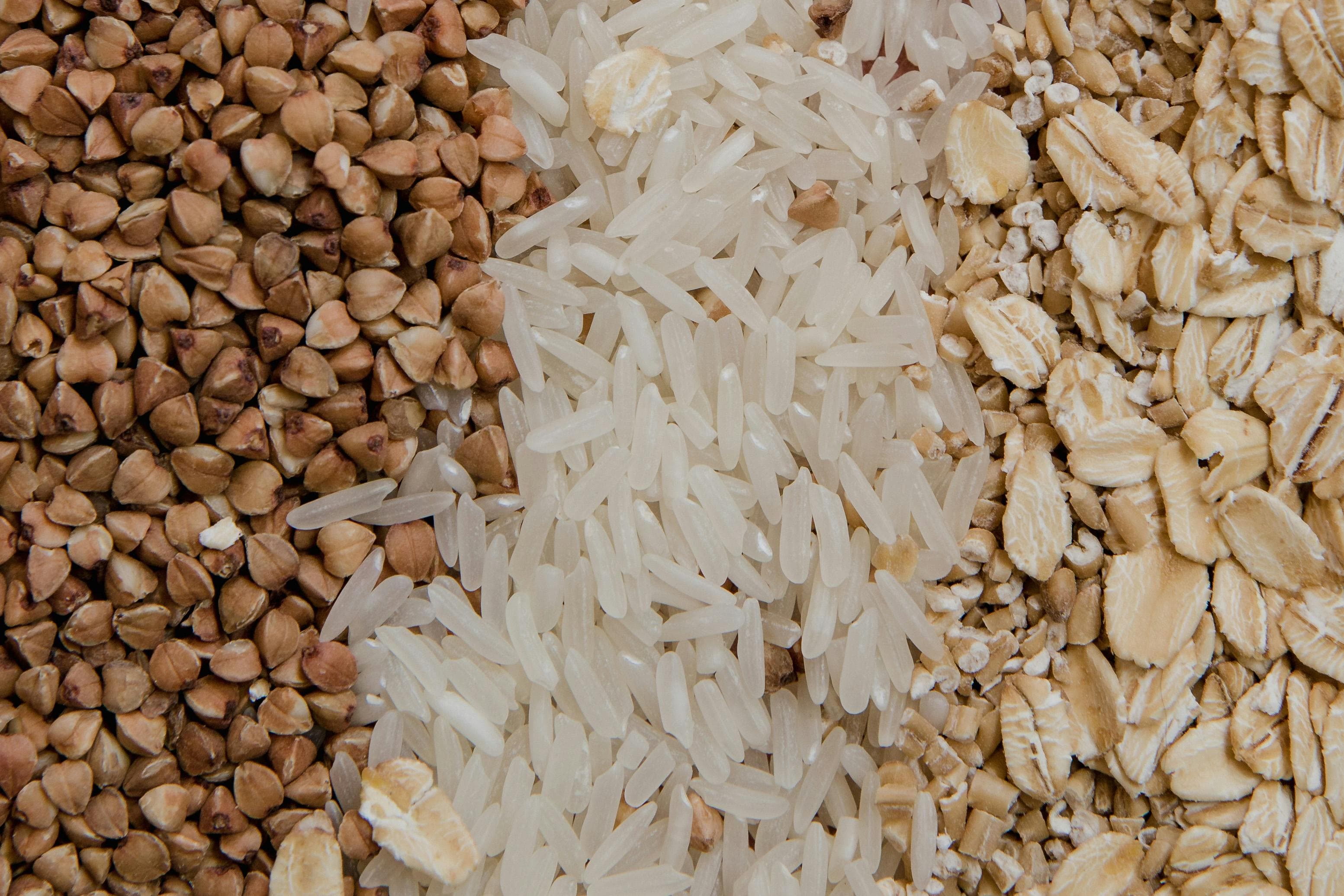 GRAINS