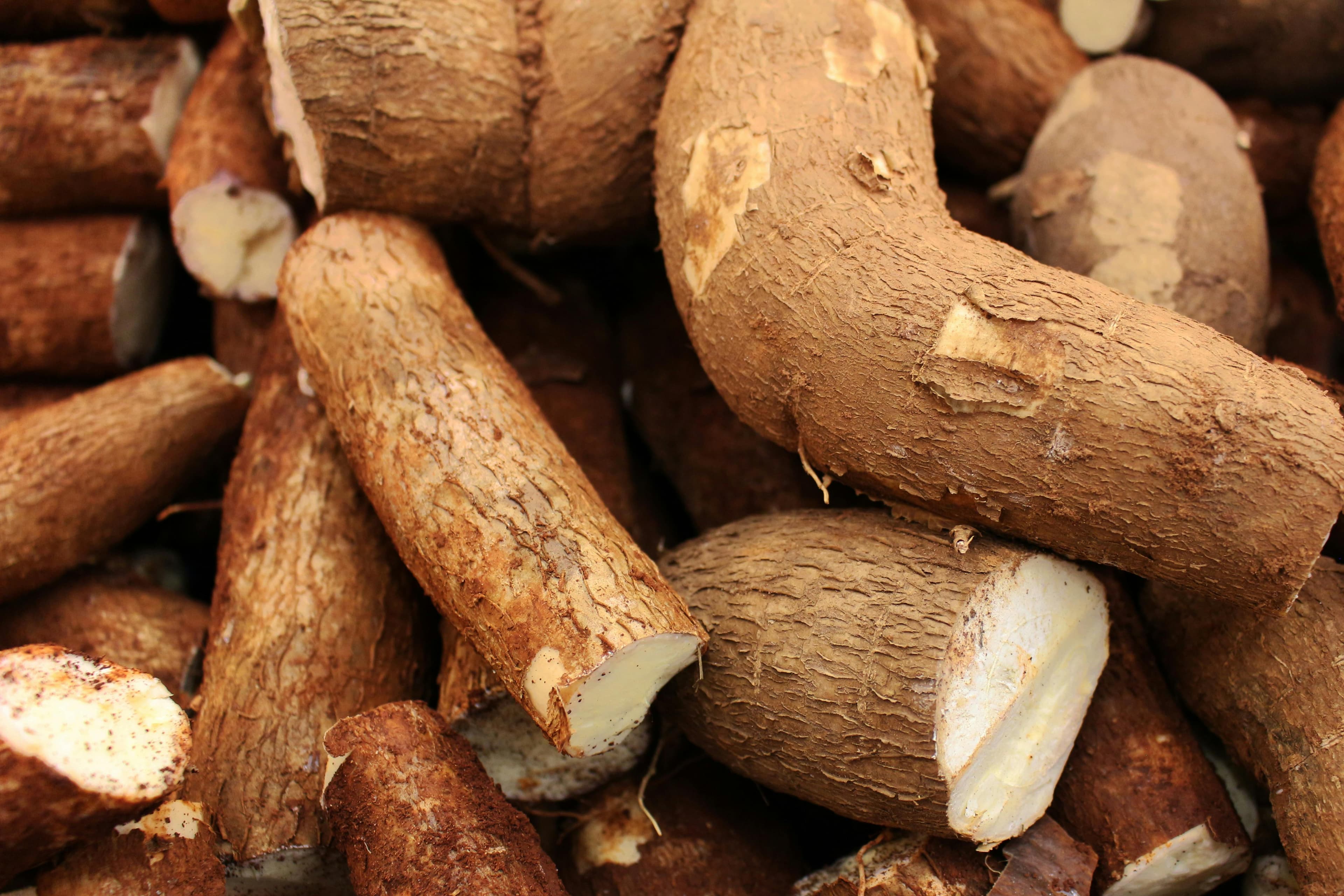 ROOTS & TUBERS